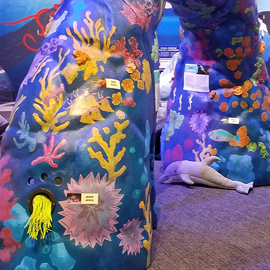 overview of Ocean Adventure! Coral reef